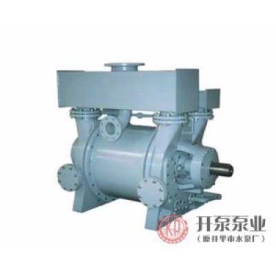 2BE series water ring vacuum pump